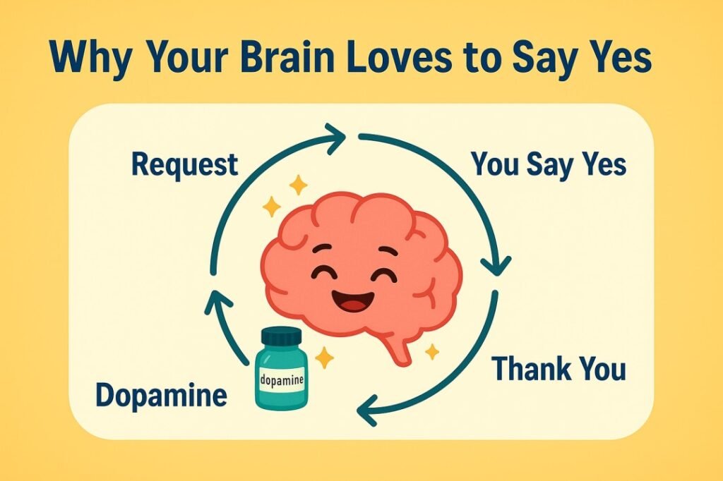 "Why your brain loves to say yes – infographic showing the dopamine reward cycle: request, you say yes, thank you, and dopamine release. Illustrated with a smiling brain and dopamine bottle."